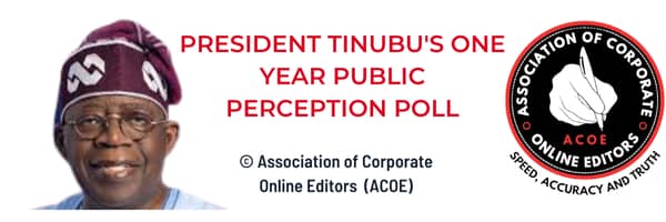 Tinubu’s one year in office: Association of Corporate Online Editors’  Public Perception Poll