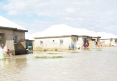 FG PLEDGES URGENT RELIEF AS BORNO FACES DEVASTATING FLOODS