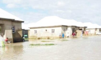 FG PLEDGES URGENT RELIEF AS BORNO FACES DEVASTATING FLOODS