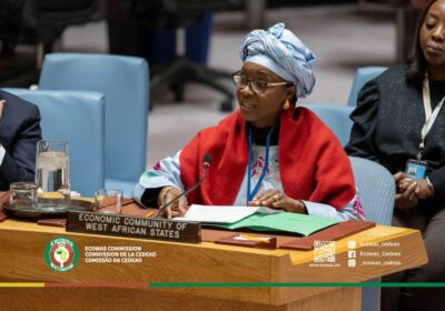 ECOWAS Addresses UN Security Council on African-Led Counterterrorism Strategies