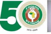 IS DEMOCRACY UNDER SIEGE?ECOWAS Remains the Pillar for Promoting good governance in West Africa