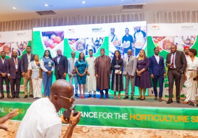 FG Taps Banks to Awaken Nigeria’s “Sleeping Giant” — Horticulture — for Food Security and Economic Growth.  By Raymond Enoch