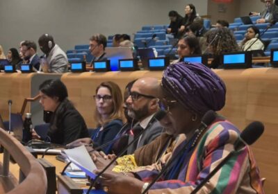 ECOWAS’s Forest Future: Commissioner TOURE LITSE Champions Regional Sustainability at UN Forum  By Raymond Enoch