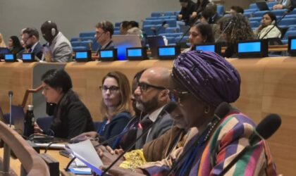 ECOWAS’s Forest Future: Commissioner TOURE LITSE Champions Regional Sustainability at UN Forum  By Raymond Enoch