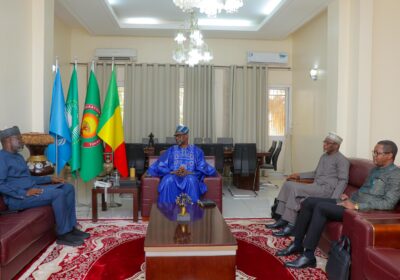 ECOWAS Remains United Amid Regional Shifts, Keeps Doors Open to Mali, Niger, and Burkina Faso — Dr. Omar Alieu Touray