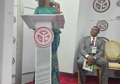 ECOWAS@50:Gowon, Bianca Ojukwu, Akinyemi Forecast Brighter Future — Call for Sahel States’ Return, Unity and Security.