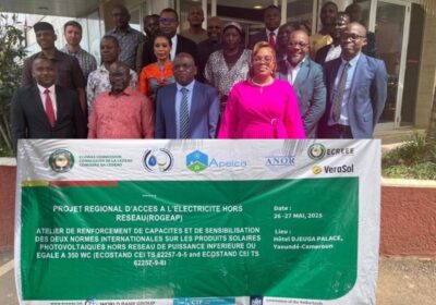 Cameroon Powers Up: ECOWAS ROGEAP Boosts Off-Grid Solar Standards.