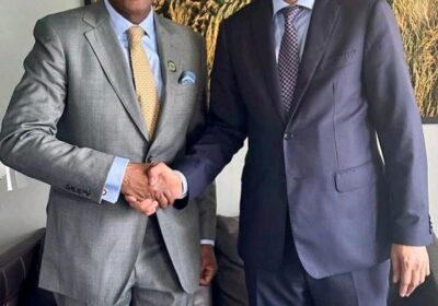 Nigeria Urges Pan-African Unity as Finance Minister Edun Meets AfDB President-Elect Sidi Ould Tah.