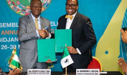 Nigeria Commits $500 Million Trust Fund to Boost Private Sector Growth Across Africa.