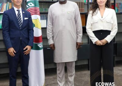 ECOWAS Deepens Diplomatic Relations as Four New Ambassadors Present Credentials.