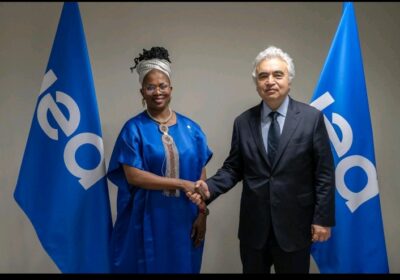 AU and IEA Forge Stronger Ties to Accelerate Africa’s Energy Transition in Africa.