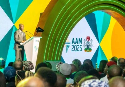 Afreximbank Summit — Edun Leads Vision for Continental Growth, Position Nigeria as Epicenter of Trade.