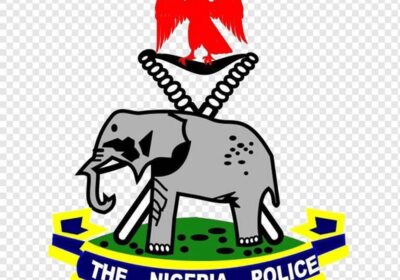 Police Nab Duo in Jos Over Murder of Chinese National in Ogun