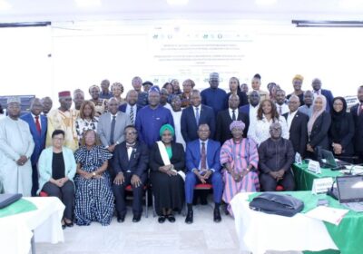 ECOWAS Human Rights Institutions Urged to Champion Change, Reparative Justice: Rights and Inclusion.