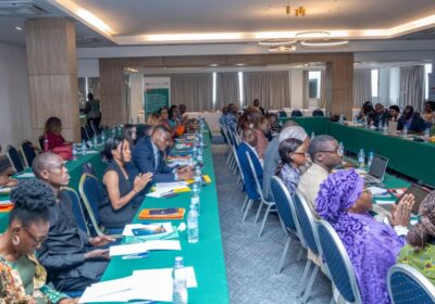 ECOWAS and Côte d’Ivoire Collaborate to Combat GBV, Host National Stakeholders Workshop in Abidjan.