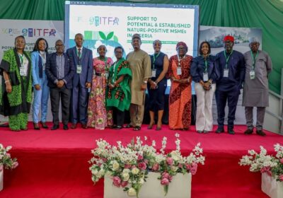 Nigeria’s Green Enterprise Revolution Takes Off: UNDP Champions Nature-Positive Future for MSMEs.