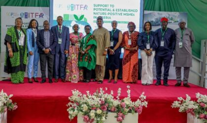 Nigeria’s Green Enterprise Revolution Takes Off: UNDP Champions Nature-Positive Future for MSMEs.