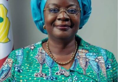 ECOWAS Set to Unveil Game-Changing Business Council in September 2025, As Regional Private Sector Gears Up for Integration Leadership.