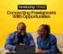 Chaise Launches to Propel African Freelancers into the Global Economy.