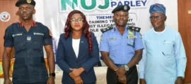 Nigeria Loses $9bn Annually to Rogue Miners Backed by Elites — Police.