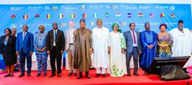 FAO Hand-in-Hand Forum: Nigeria Champions Scalable Irrigation to End Hunger Across West Africa.
