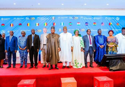 FAO Hand-in-Hand Forum: Nigeria Champions Scalable Irrigation to End Hunger Across West Africa.