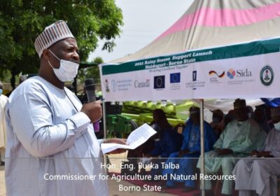 FAO Supports 65,000 Households in Borno, Adamawa, Yobe with Rainy Season Support.