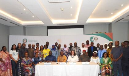 GenderViolence and Human Trafficking: ECOWAS Strengthen Action at the 17th Annual Review Meeting.