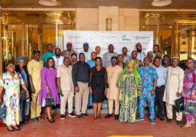 Aig-Imoukhuede Foundation unveils Capacity Programme for Public Planners