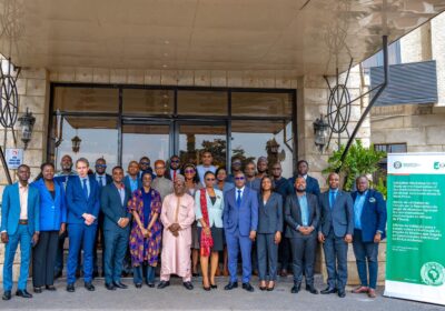 Electronic Communications in West Africa: ECOWAS Gathers Stakeholders to Shape the Region’s Digital Future.