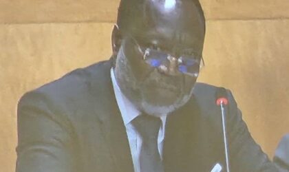 ECOWAS President Champions African Stability and Financing at Global Economy Summit.