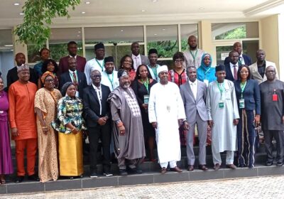 ECOWAS, Nigeria Launch New Offensive Against Drug Threat, Developes Master Plan.