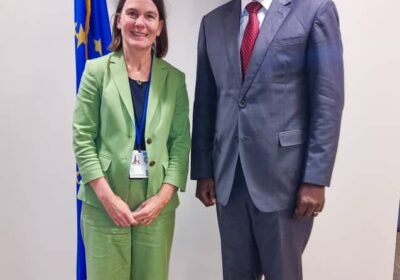 ECOWAS, Germany Set Stage for Deeper Strategic Partnership Ahead of November Talks.