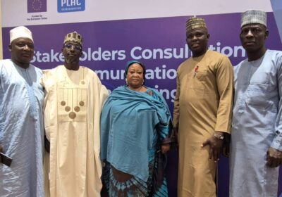 PLAC, Media, CSOs Hold Meeting, Renew Call on National Assembly to Pass Special Seats Bill for Women.