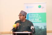 FAO, Nigeria Launch Green Climate Fund–Backed SURAGGWA Project to Restore Degraded Lands and Strengthen Sahel Resilience.