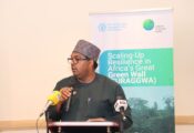 FAO, Nigeria Launch Green Climate Fund–Backed SURAGGWA Project to Restore Degraded Lands and Strengthen Sahel Resilience.