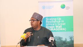 FAO, Nigeria Launch Green Climate Fund–Backed SURAGGWA Project to Restore Degraded Lands and Strengthen Sahel Resilience.