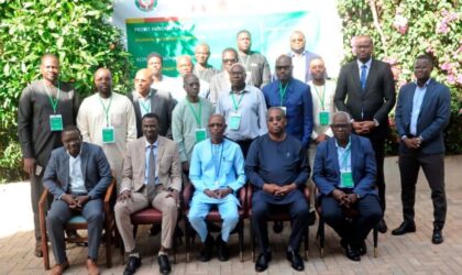 ECOWAS Fast-Tracks Last-Mile Power Push as REAP Nears Crucial 2026 Finish Line, Hold Meeting in Gambia.