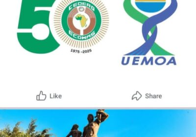 ECOFEST Dakar 2025: West Africans Converge to Deepen Regional Integration Through Arts and Culture.