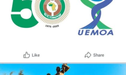 ECOFEST Dakar 2025: West Africans Converge to Deepen Regional Integration Through Arts and Culture.