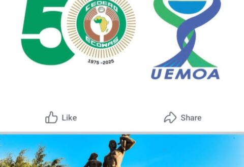 ECOFEST Dakar 2025: West Africans Converge to Deepen Regional Integration Through Arts and Culture.