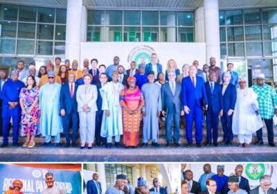 Nigeria, UNDP Collaborate on African-Rooted Democracy to Stem West Africa’s Political Drift.