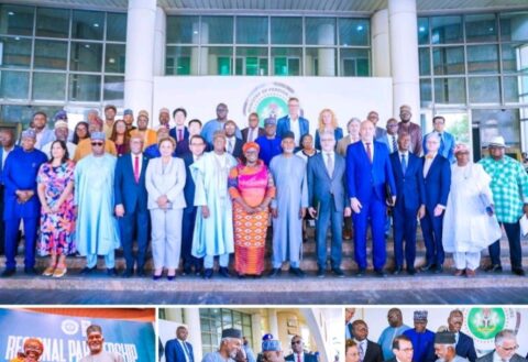 Nigeria, UNDP Collaborate on African-Rooted Democracy to Stem West Africa’s Political Drift.