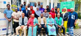 Ministry of Health, Africa CDC Strengthen Event-Based Surveillance Capacity to Bolster Epidemic Intelligence in The Gambia.  By Raymond Enoch