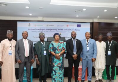 FAO, ECOWAS, AU-IBAR, WHO Convene Three-Day Capacity Building Workshop to Strengthen Regional Disease Surveillance, Advance PPR Eradication, and Boost Transboundary Disease Control. By Raymond Enoch