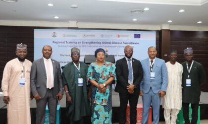 FAO, ECOWAS, AU-IBAR, WHO Convene Three-Day Capacity Building Workshop to Strengthen Regional Disease Surveillance, Advance PPR Eradication, and Boost Transboundary Disease Control.  By Raymond Enoch