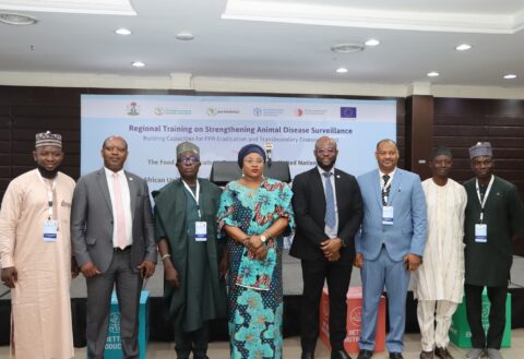 FAO, ECOWAS, AU-IBAR, WHO Convene Three-Day Capacity Building Workshop to Strengthen Regional Disease Surveillance, Advance PPR Eradication, and Boost Transboundary Disease Control.  By Raymond Enoch