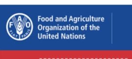 FAO Launches First-Ever $2.5bn Global Emergency Appeal, West and Central Africa Emerge Top Priority as Nigeria Set to Gain Most  By Raymond Enoch