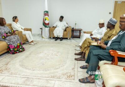 ICRC Strengthens Humanitarian Relations As Head of Delegation Visits ECOWAS President in Abuja Nigeria. By Raymond Enoch