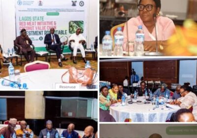 FAO–Lagos Red Meat & Coconut Roundtable Closes with Clear Investment Pathways and Renewed Private Sector Confidence  By Raymond Enoch